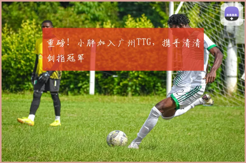 重磅！小胖加入广州TTG，携手清清剑指冠军