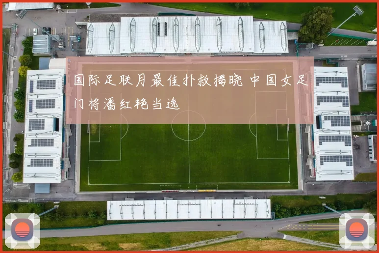 国际足联月最佳扑救揭晓 中国女足门将潘红艳当选